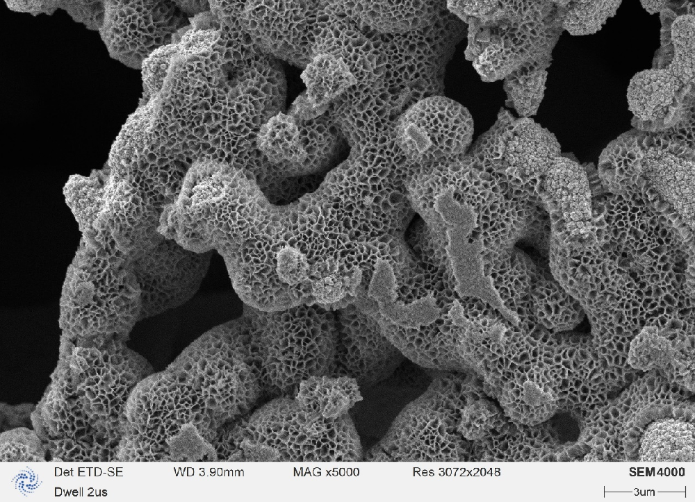 珊瑚阳极——WT系列